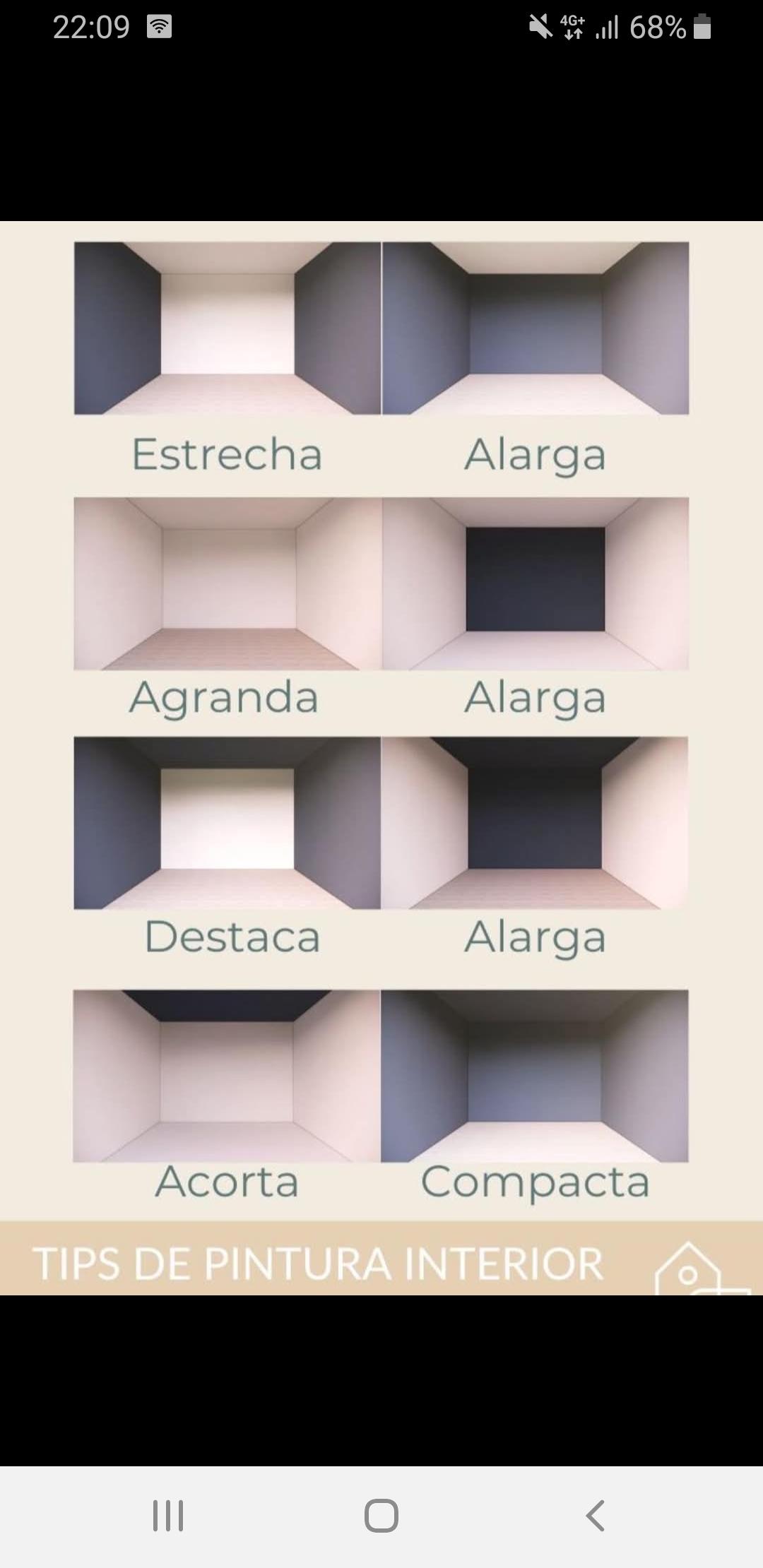 Pintor economico