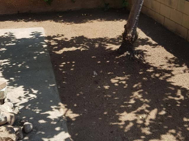 Limpieza de terrenos