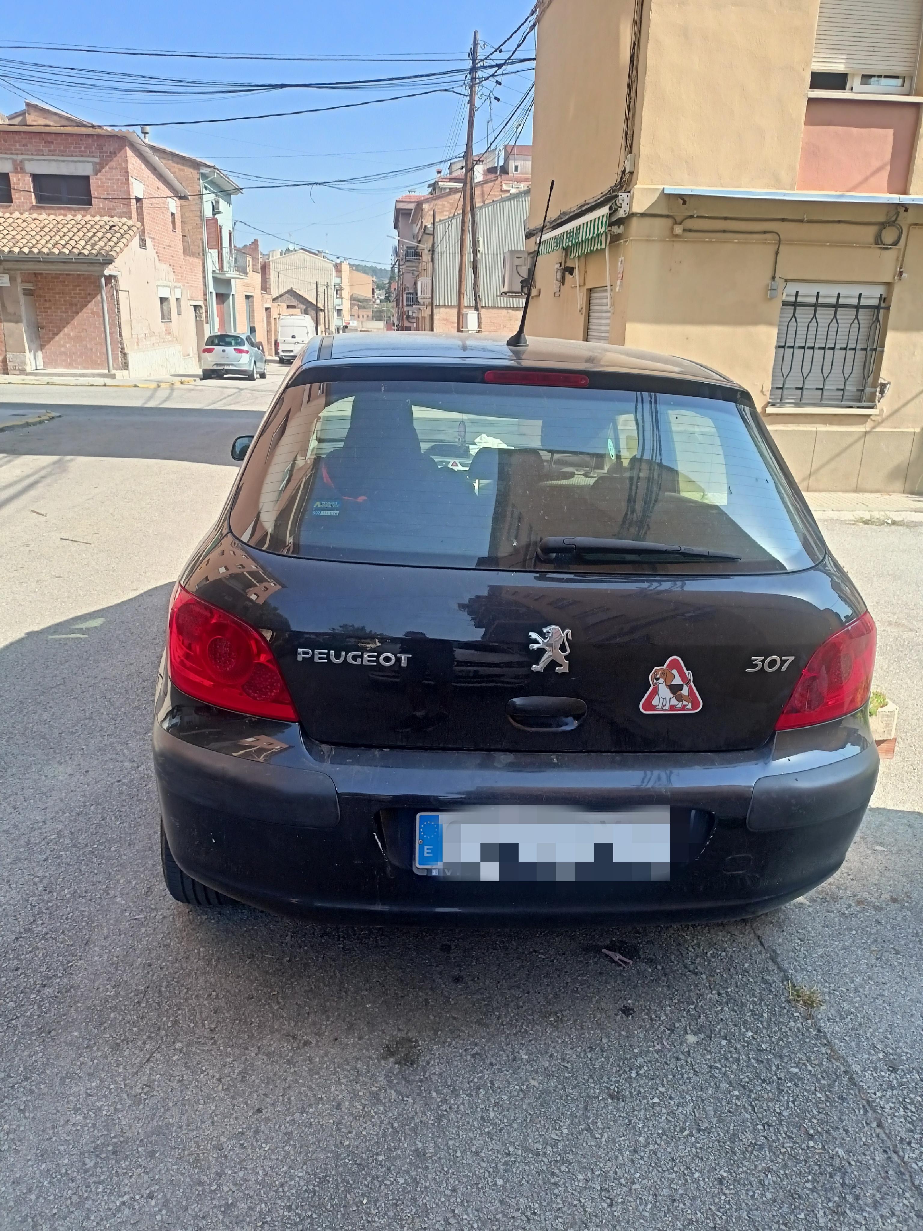Pugeot 307